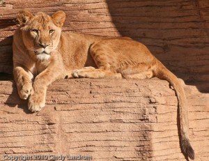 20100220-20100220-_DSC1440