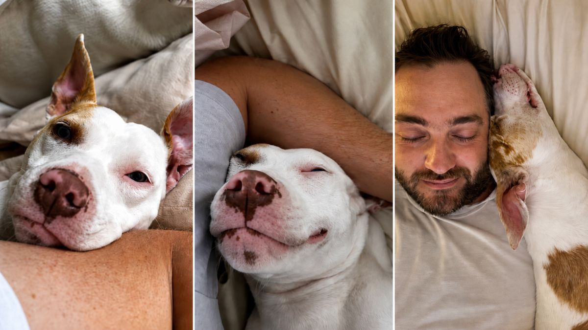 Deaf Rescue Dog Waited Years for Love, Now Refuses to Leave Her Dad’s Side