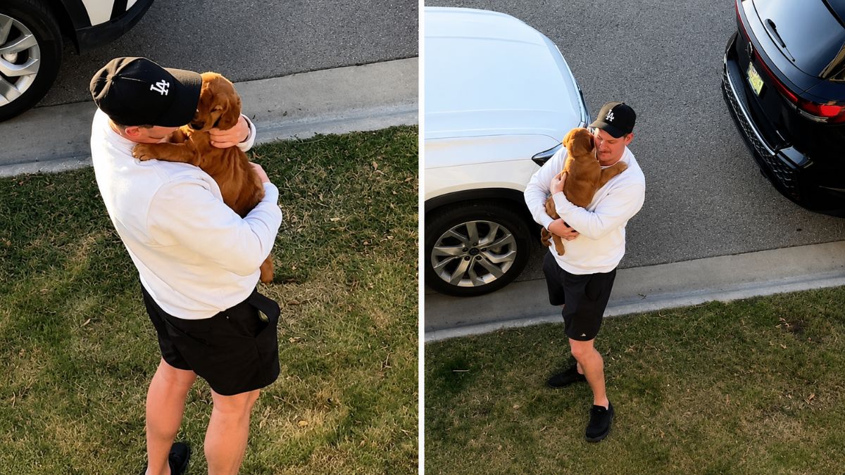 Golden Retriever Puppy Surprise Leaves Kids Screaming With Joy in Viral Family Moment