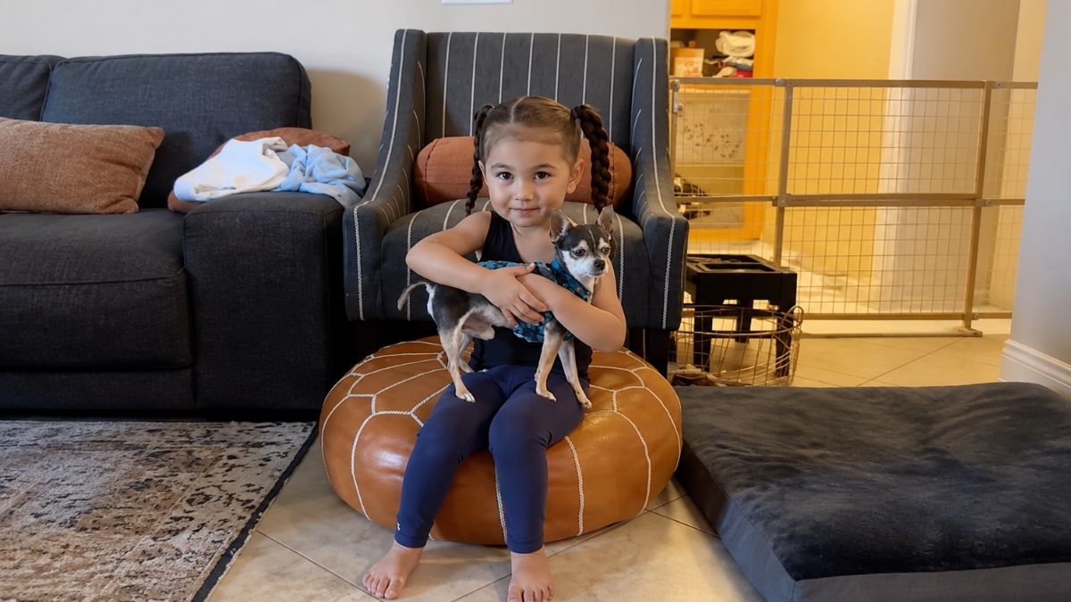 Little Girls Reunite Lost Dog With His Family and Receive the Sweetest Surprise Reward